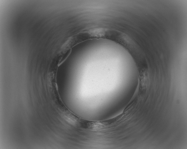 X0000062640229200512211213