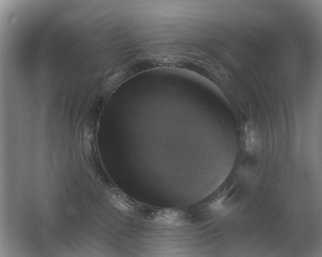 X0000062640235200512211213