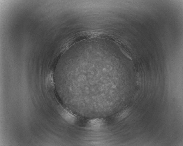 X0000062640238200512211213