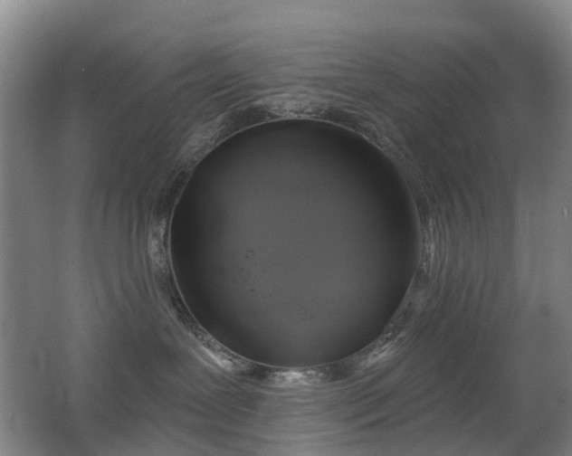 X0000062640239200512211213