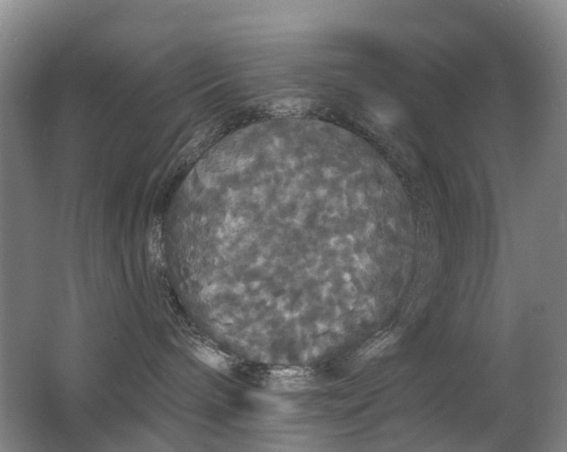X0000062640240200512211213