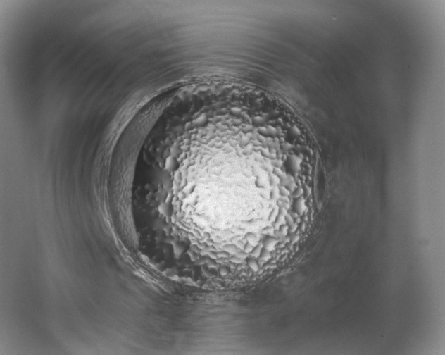 X0000062640241200512211212