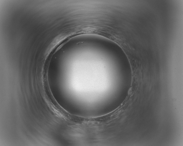 X0000062640242200512211212
