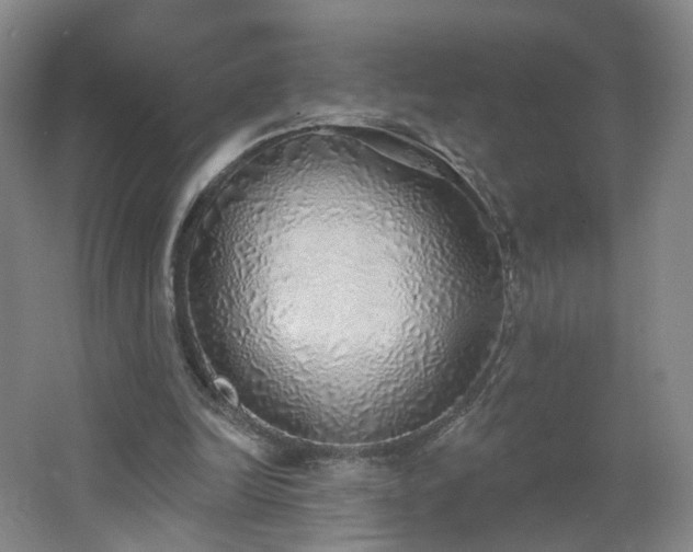 X0000062640246200512211212