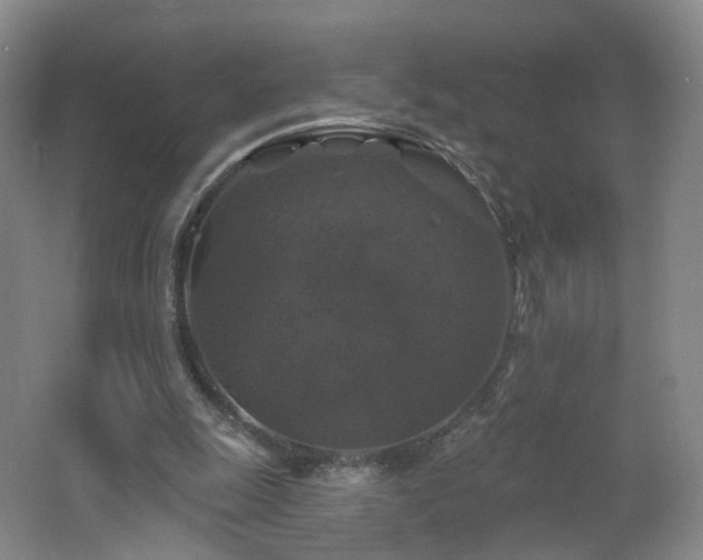 X0000062640247200512211212