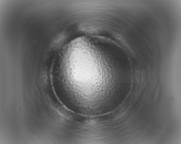 X0000062640259200512211212