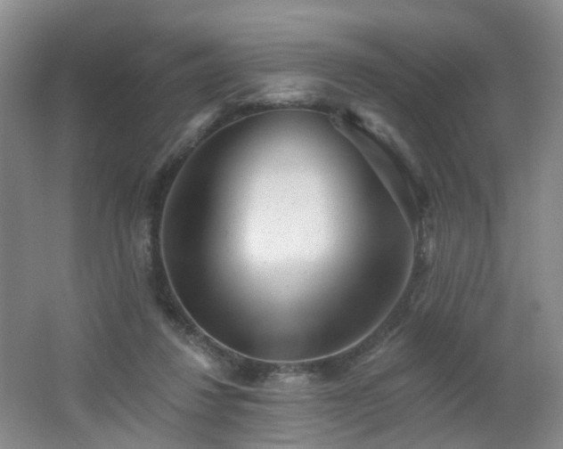 X0000062640260200512211212