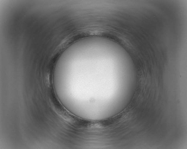 X0000062640262200512211212