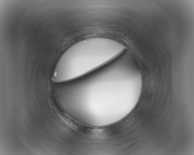 X0000062640265200512211212