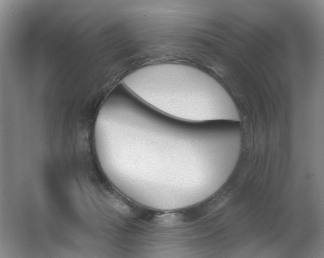 X0000062640269200512211212