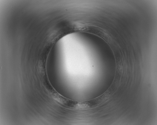 X0000062640270200512211212