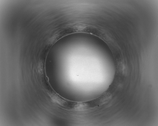 X0000062640274200512211212