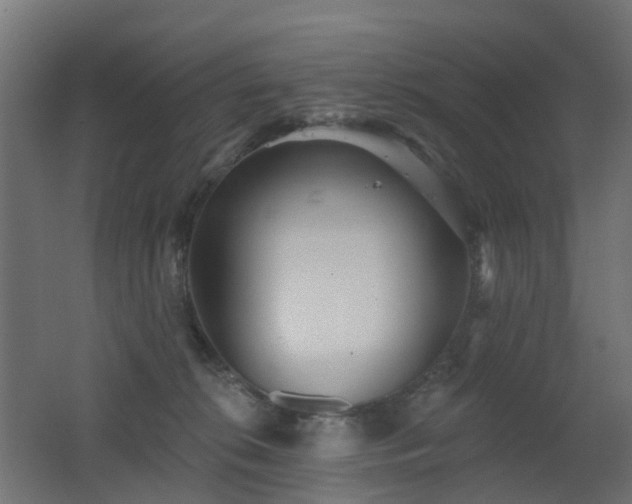 X0000062640276200512211212