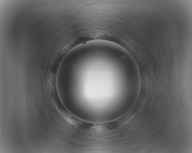 X0000062640280200512211212