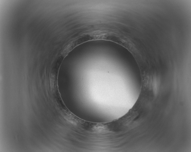 X0000062640283200512211212
