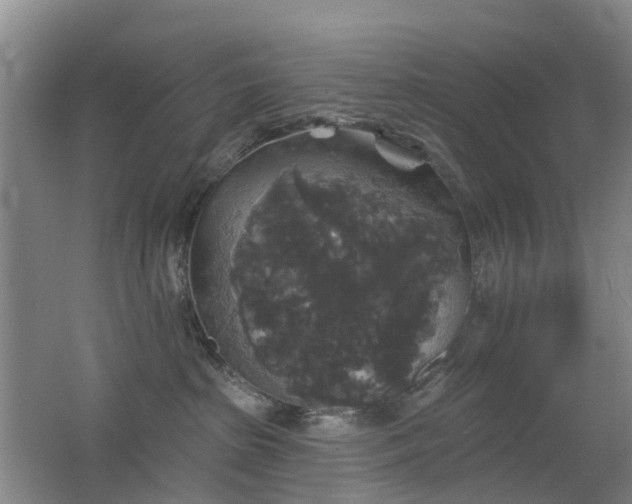X0000062640285200512211213