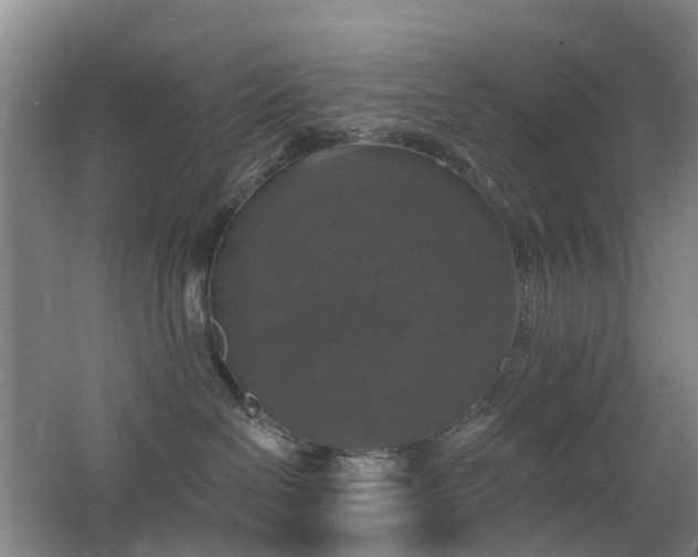X0000062640286200512211213