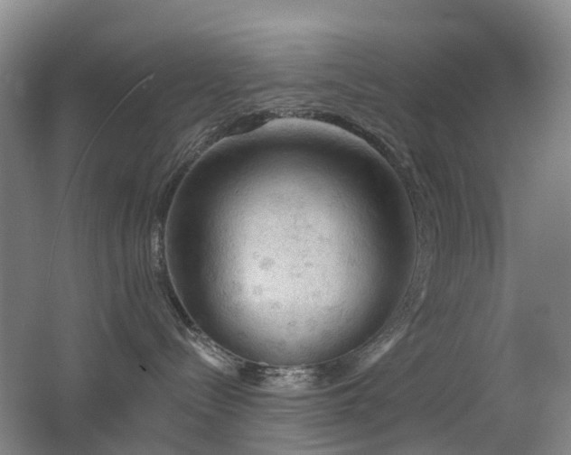 X0000062640288200512211213