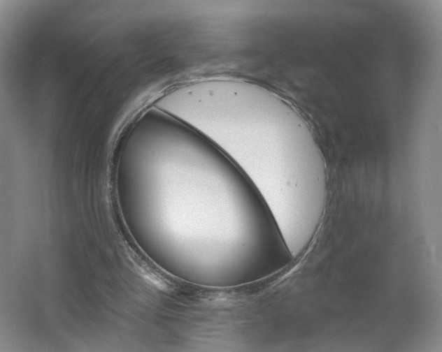 X0000062640293200512211212