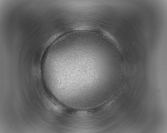 X0000062640298200512211212