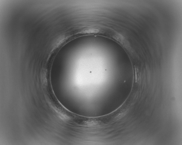 X0000062640300200512211212