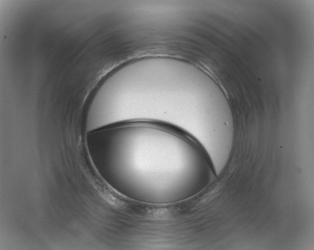 X0000062640301200512211212