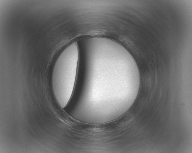 X0000062640303200512211211