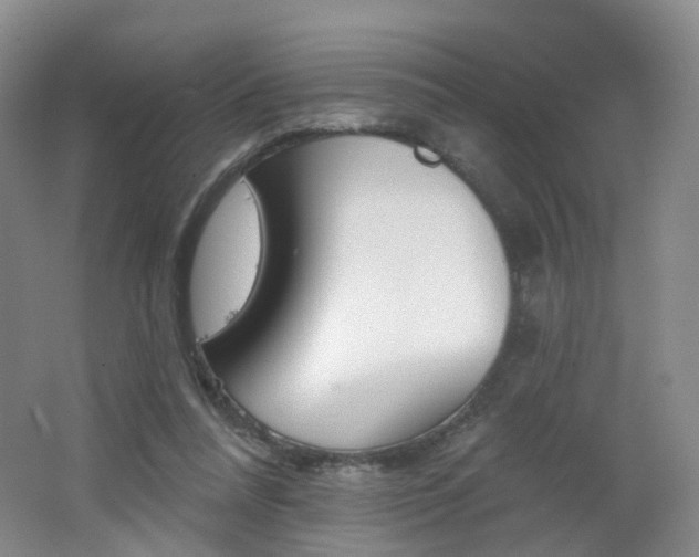 X0000062640304200512211211