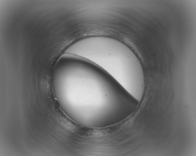 X0000062640305200512211211