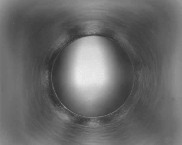 X0000062640308200512211211