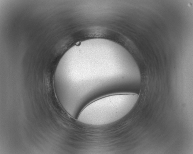 X0000062640312200512211211