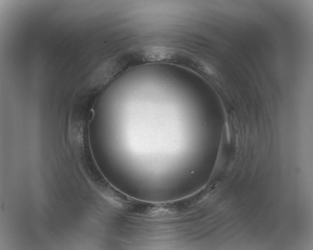 X0000062640315200512211211