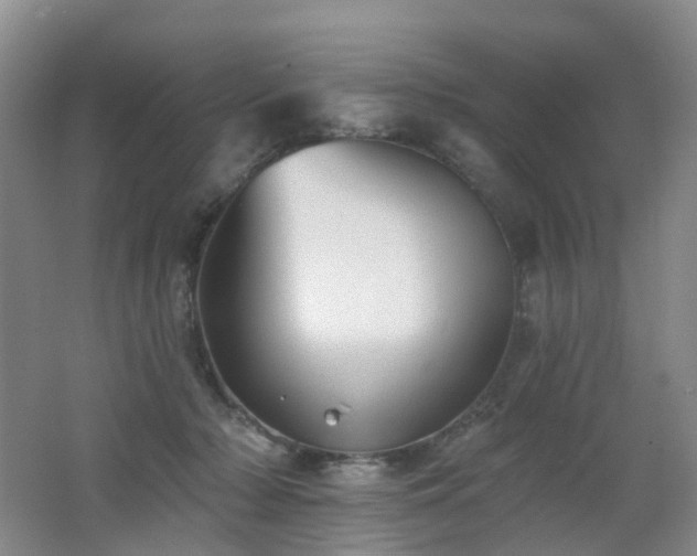 X0000062640318200512211211