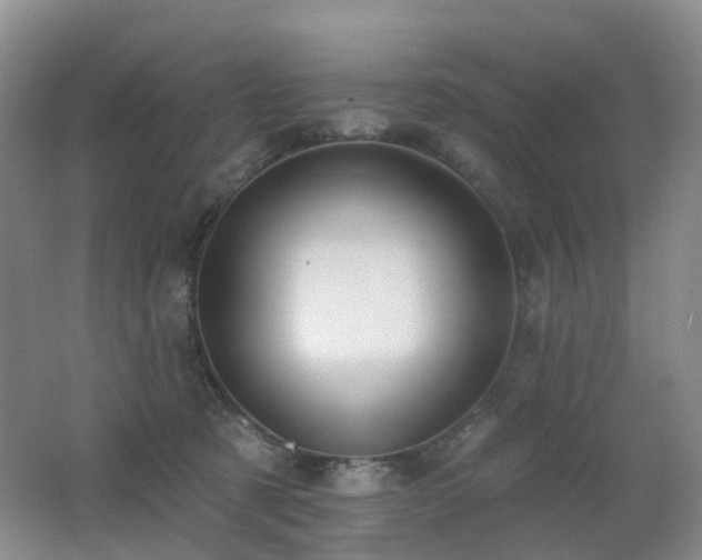 X0000062640321200512211211