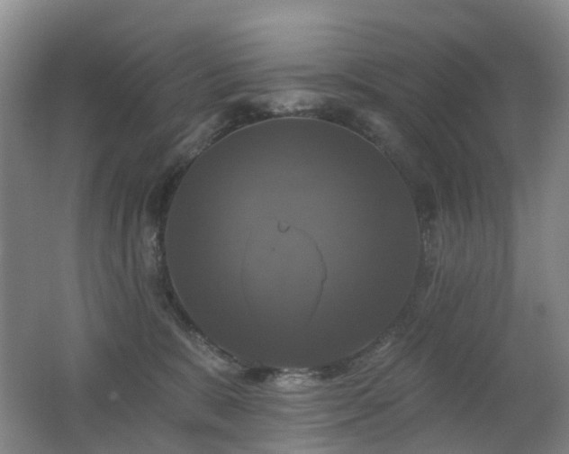X0000062640327200512211211