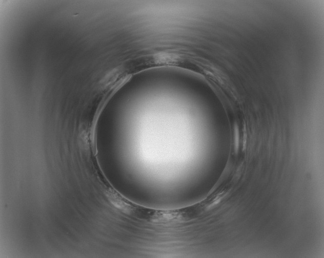 X0000062640329200512211211