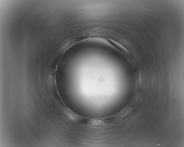 X0000062640333200512211211