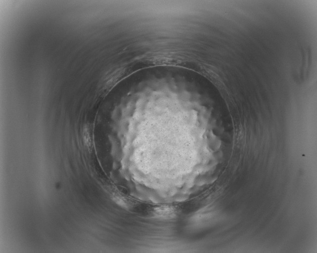 X0000062640335200512211211