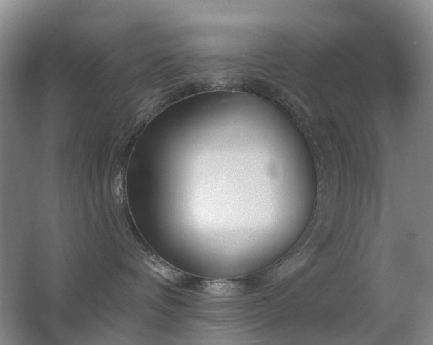 X0000062640336200512211211