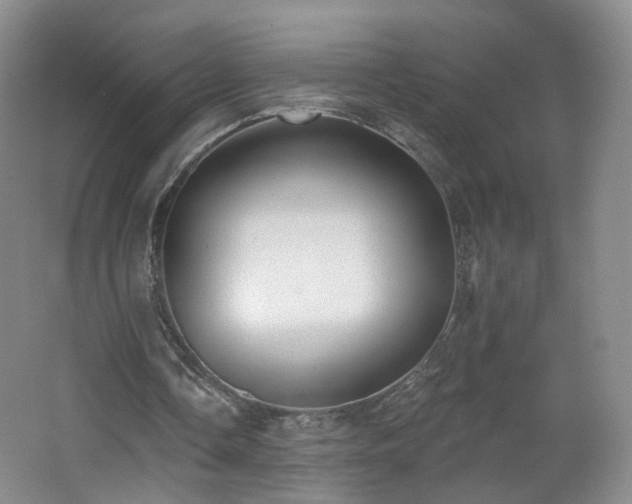 X0000062640338200512211210