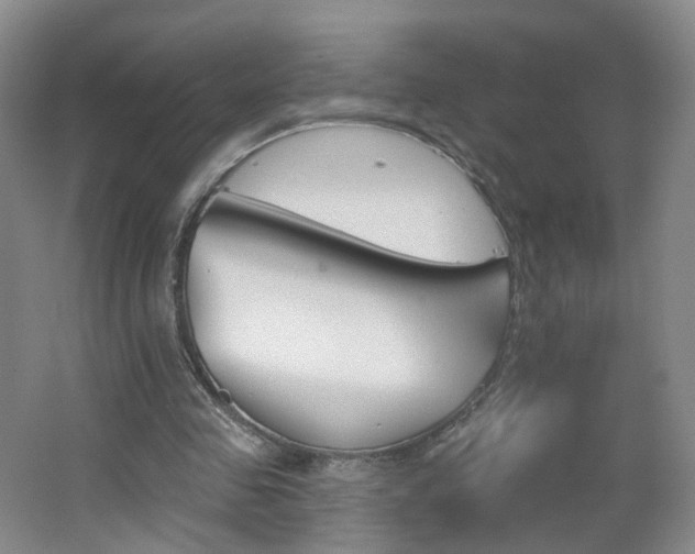 X0000062640341200512211210