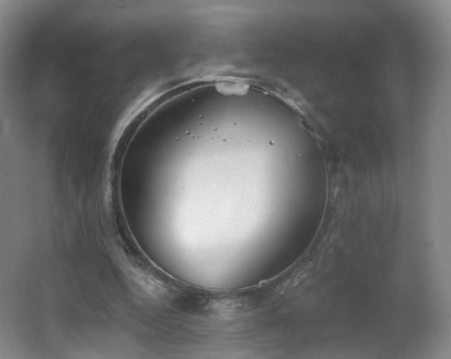 X0000062640344200512211210