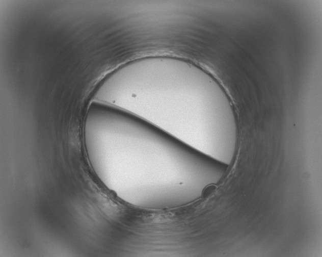 X0000062640345200512211210