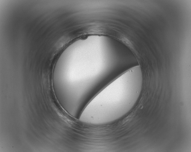X0000062640349200512211210