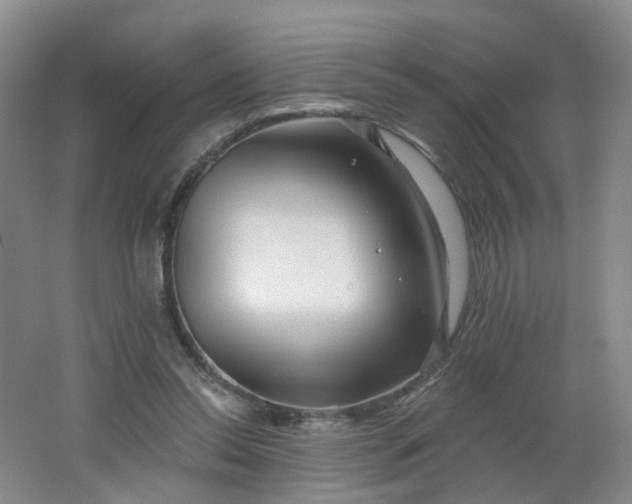 X0000062640350200512211210