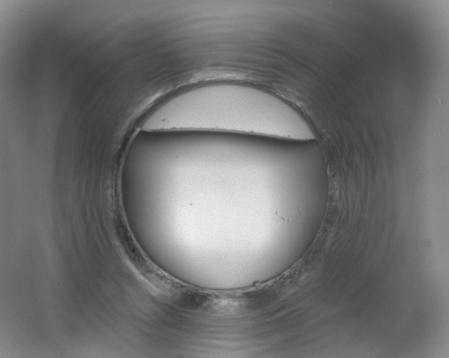 X0000062640352200512211210