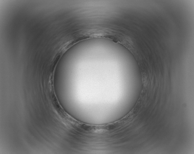 X0000062640360200512211210
