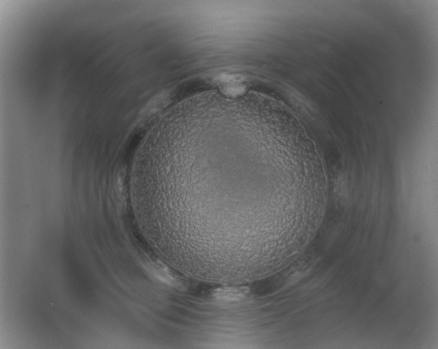 X0000062640373200512211211