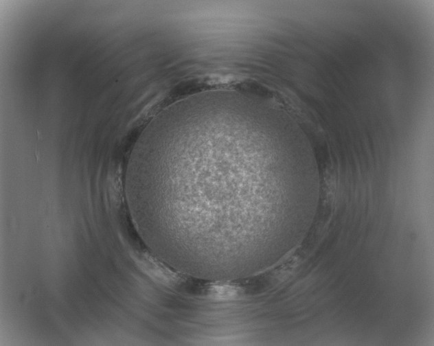 X0000062640376200512211211