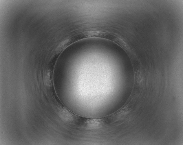 X0000062640378200512211211